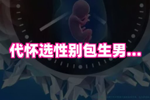 乐乐助孕网 1
