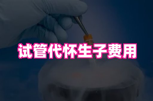乐乐助孕网 3